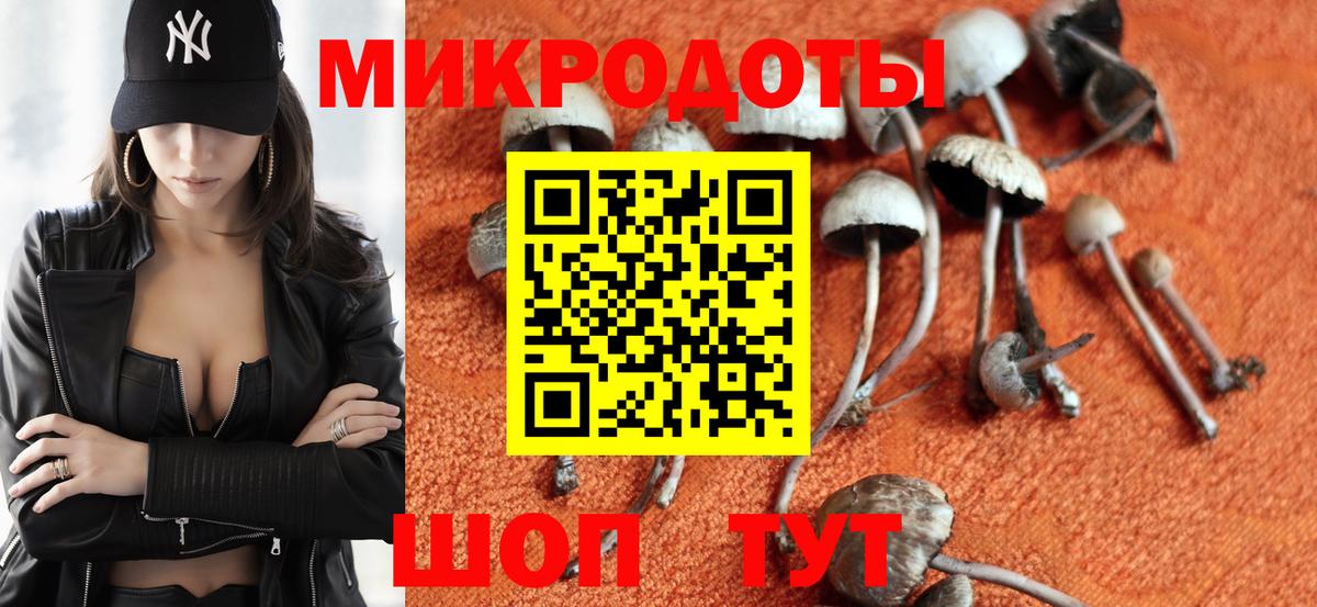 Соль-Илецк  Псилоцибиновые грибы GOLDEN TEACHER  Вход с VPN 